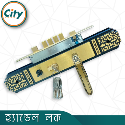 উচ্চ সুরক্ষার বড় আকারের হ্যান্ডেল লক অতিরিক্ত নব সহ প্রধান দরজার লক নতুন রঙের ডোর লক_img_1