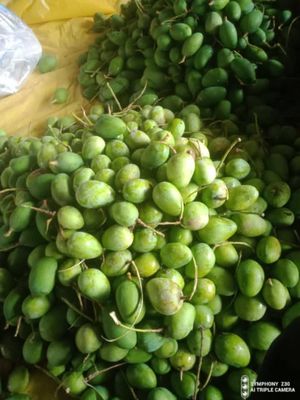 সাতক্ষীরার বিখ্যাত কাঁচা আম_img_2