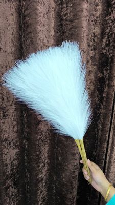 pampars grass_img_7