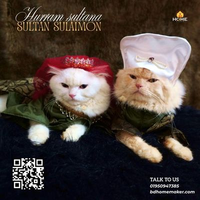 Sultan sulaimon outfit_img_7