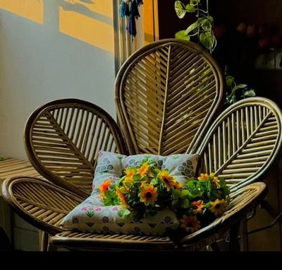 Pata Chair_img_0