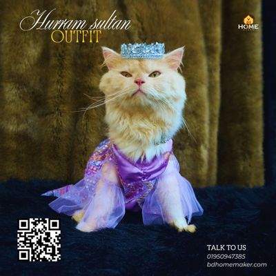 Hurram sultana outfit_img_0