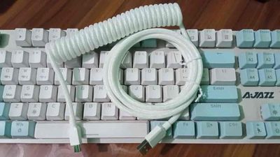 Non-Aviator Braided Coiled Type-C Cable_img_2