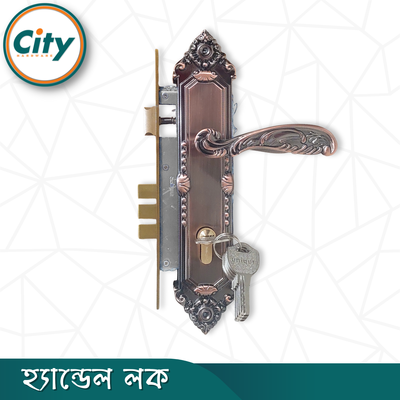 এন্টিক রঙের ডোর লক উচ্চ সুরক্ষার স্ট্যান্ডার্ড সাইজের হ্যান্ডেল লক প্রধান দরজার লক Door Lock_img_1