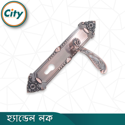 এন্টিক রঙের ডোর লক উচ্চ সুরক্ষার স্ট্যান্ডার্ড সাইজের হ্যান্ডেল লক প্রধান দরজার লক Door Lock_img_4