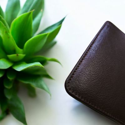 100% Genuine Leather (Brown Colour)_img_5