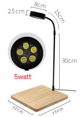 board light_img_1