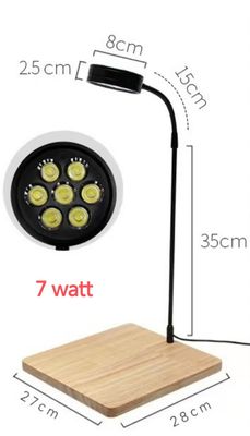 board light_img_2