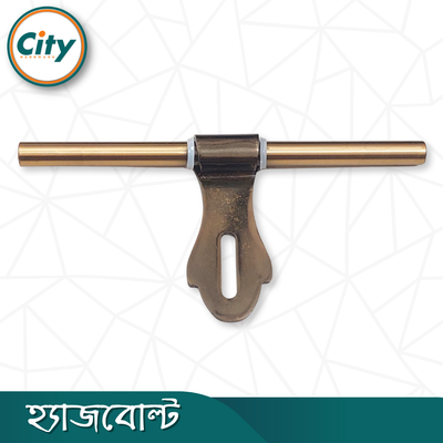 ফ্যান্সি ডোর অ্যালড্রপ অ্যান্টিক ব্রাশ পালিশ করা হেভি হ্যাজবোল্ট ১০ ইঞ্চি, ৪ মিমি স্টেইনলেস স্টিল হ্যাজবোল্ট_img_3