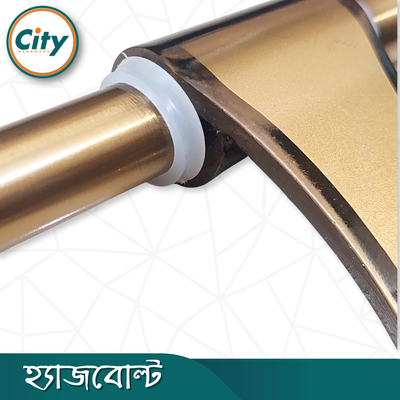 ফ্যান্সি ডোর অ্যালড্রপ অ্যান্টিক ব্রাশ পালিশ করা হেভি হ্যাজবোল্ট ১০ ইঞ্চি, ৪ মিমি স্টেইনলেস স্টিল হ্যাজবোল্ট_img_4