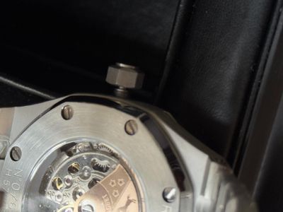 AP Skeleton Euro Grade Ref. 15407ST.OO.1220ST.01_img_6