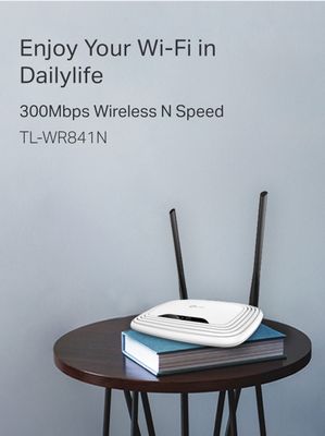 TP-Link 300Mbps Wireless N Router (TL-WR841N)_img_2