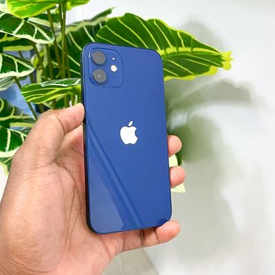 iPhone 12 (64GB)_img_3
