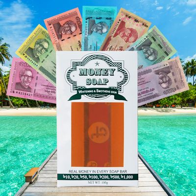 Money Soap_img_0