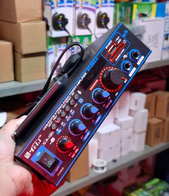 BT-309A AC/DC Complete China Audio Amplifier_img_3