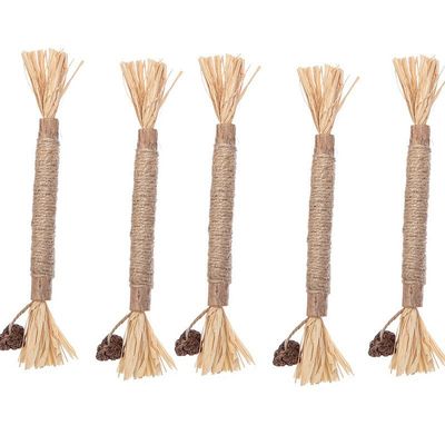 1 Pcs Cat Teeth Cleaning Stick Pure Natural Catnip Kitty Molar Toothpaste Rods_img_0