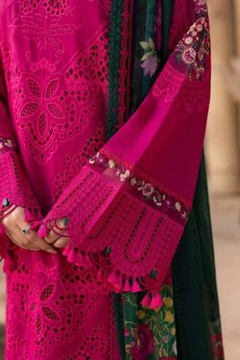 SAIRA RIZWAN_img_5