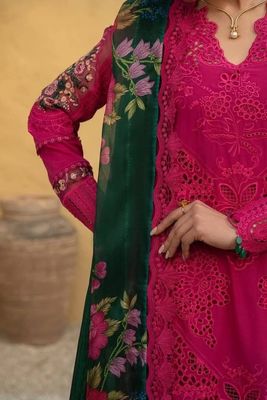 SAIRA RIZWAN_img_6