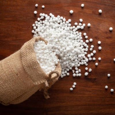 সাবু দানা (Sagu)_img_1