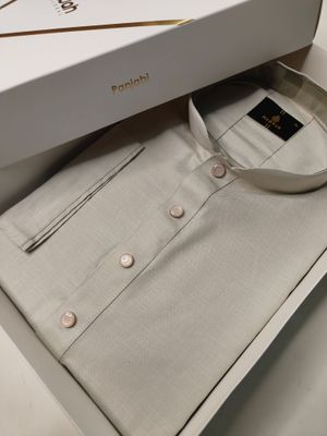 Elegant Cotton Ash Panjabi_img_1