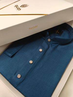 Elegant Cotton Classic Panjabi_img_1