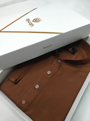 Elegant Cotton Classic Panjabi_img_1