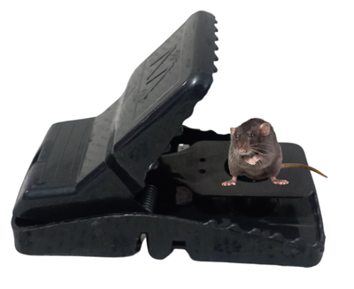 Mouse Killer Trap (5×3×3 inches)_img_1