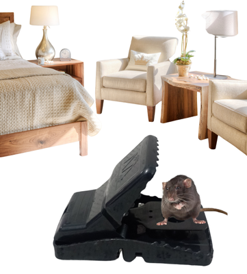 Mouse Killer Trap (5×3×3 inches)_img_2