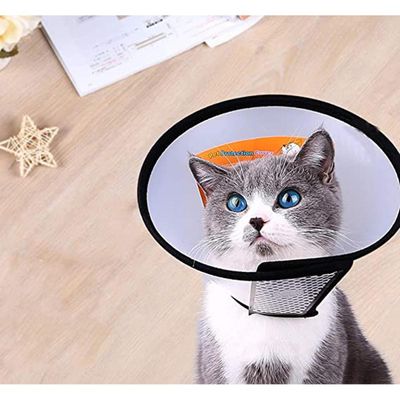 Cat & Dog E-Collar Or Operation Collar_img_2