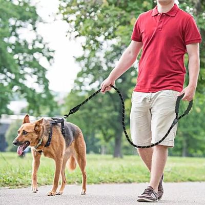 Pet Dog Nylon Adjustable Loop Training Lead Collar Leash Traction Rope_img_0