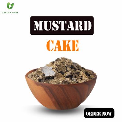 Mustard Cake (সরিষার খৈল) - 1Kg_img_0