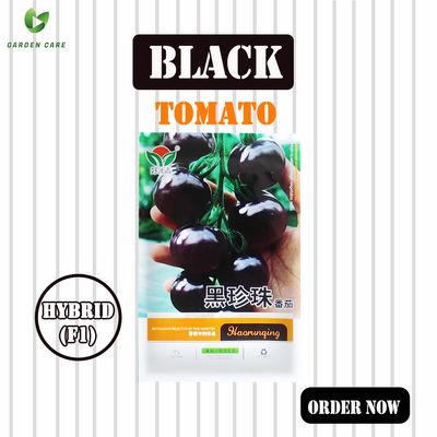 Hybrid (F1) Black Tomato (টমেটো) Seeds_img_0