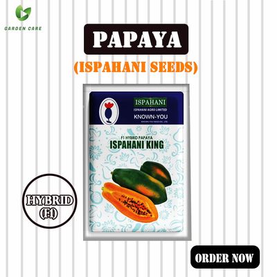 Hybrid (F1) Papaya (ইস্পাহানি কিং) Seeds (Ispahani Seeds)_img_0