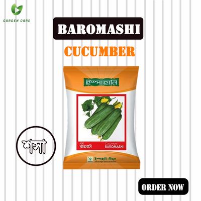 Cucumber Baromashi ( শসা বারমাসি ) -১০ গ্রাম_img_0