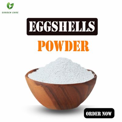 Eggshells Powder - 1Kg_img_0
