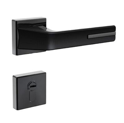 2 in 1 Handle Lock_img_0