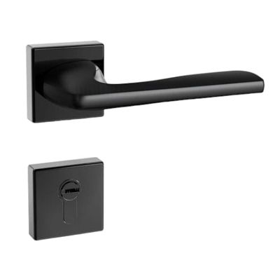 2 in 1 Handle Lock_img_0