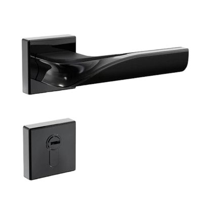 2 in 1 Handle Lock_img_0