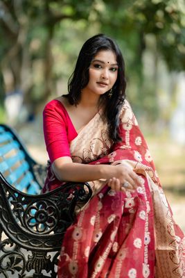 Handloom maroon colour full body work saree_img_5