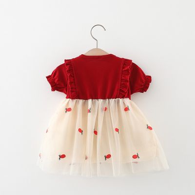 🎀 Cute Baby Girl Dress – Summer Mesh & Fashion Style_img_1