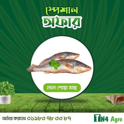 Lal Poa (লাল পোয়া)_img_0