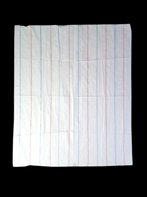 1 guide(100 pieces) intect dop bosta (size:50×58)_img_0