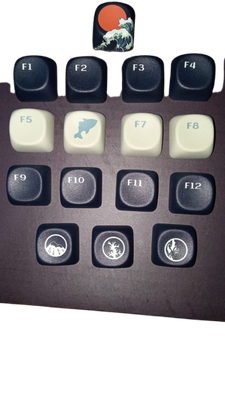 R4 Keycaps for Function Row and additional MOA Profile_img_0