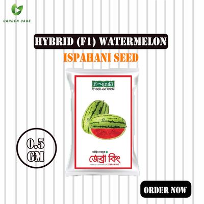 Hybrid (F1) Watermelon (তরমুজ) Seeds - 0.5gm (Ispahani Seed)_img_0