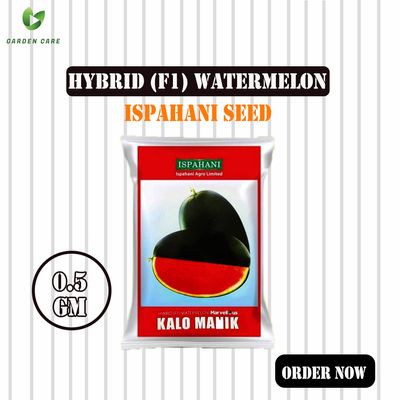 Hybrid (F1) Watermelon (তরমুজ) Seeds - 0.5gm (Ispahani Seed)_img_0