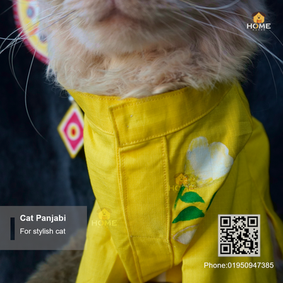 Cat panjabi_img_3