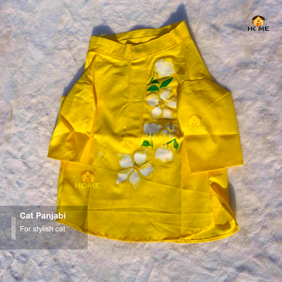 Cat panjabi_img_1
