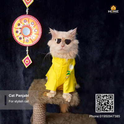 Cat panjabi_img_2