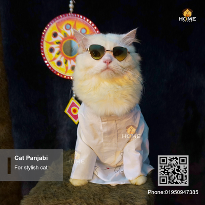 Cat panjabi (6,5,4,3.5,3 kg)_img_1