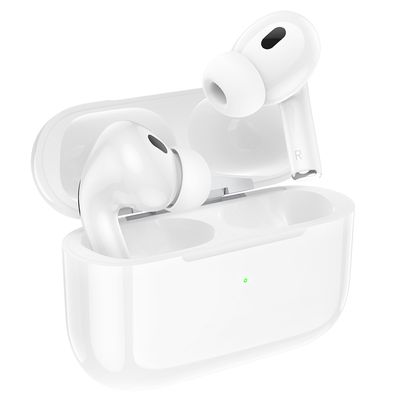 Hoco EW51 ANC True Wireless Bluetooth Earbuds_img_0
